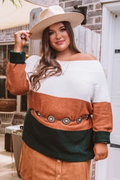 Mountain Top Resort Shift Sweater Curves