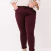 The Cress High Waist Skinny In Windsor Wine Curves