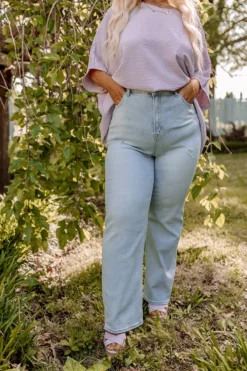 The Juanita High Waist Jean Curves
